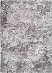 Landgraaf Modern Medium Gray Area Rug