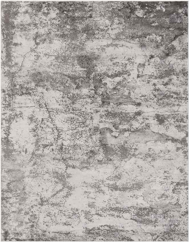 Landgraaf Modern Medium Gray Area Rug