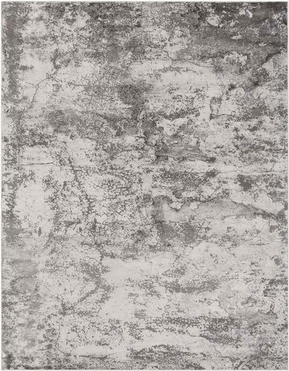 Landgraaf Modern Medium Gray Area Rug