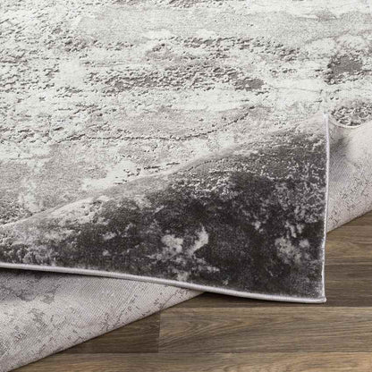 Landgraaf Modern Medium Gray Area Rug