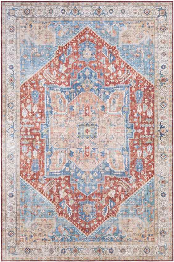Maasdriel Traditional Burnt Orange Area Rug