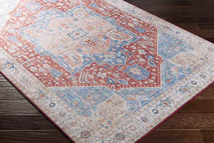 Maasdriel Traditional Burnt Orange Area Rug