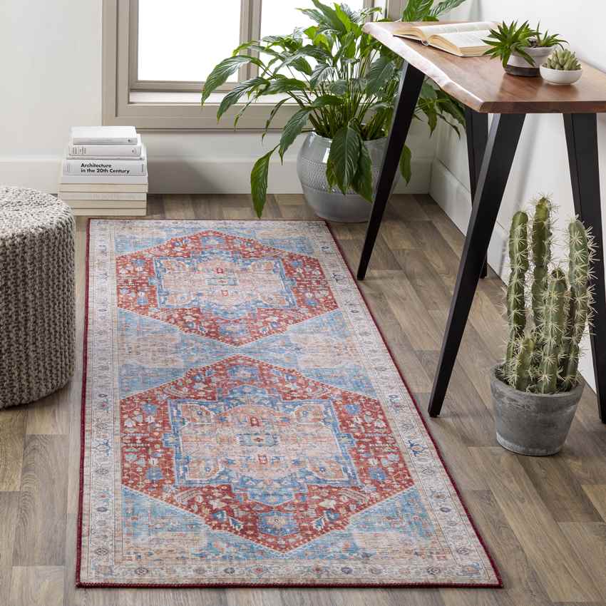 Maasdriel Traditional Burnt Orange Area Rug