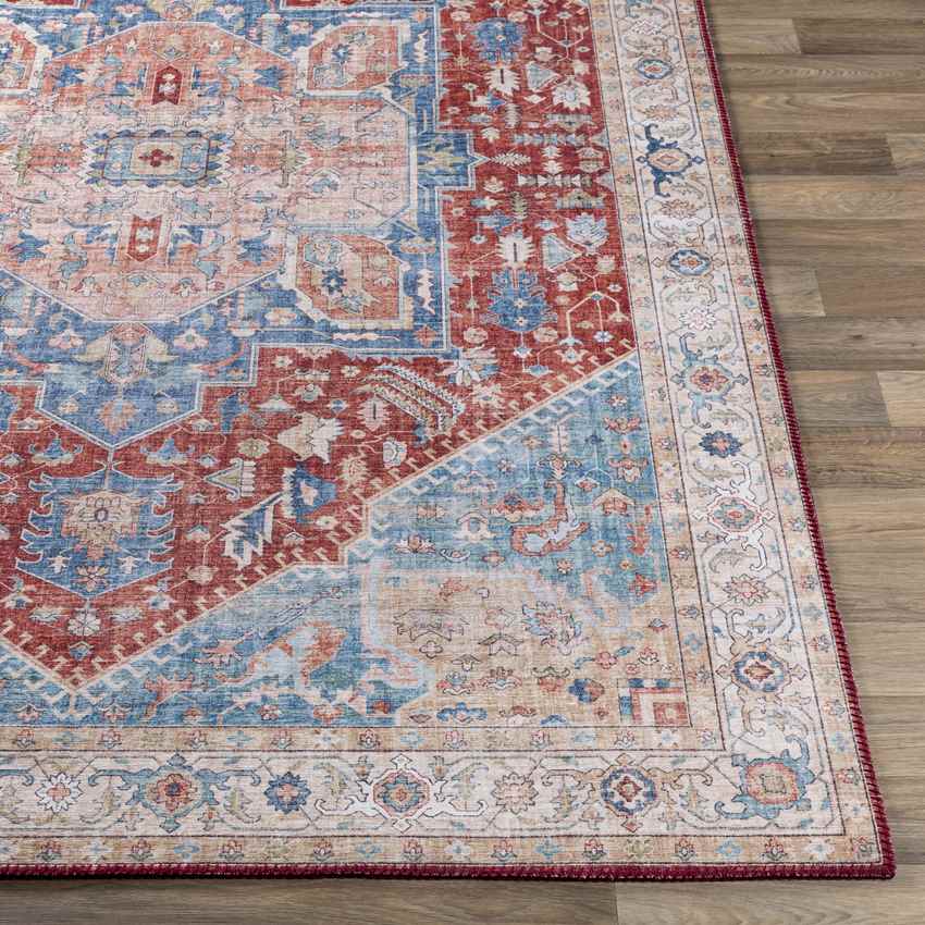 Maasdriel Traditional Burnt Orange Area Rug
