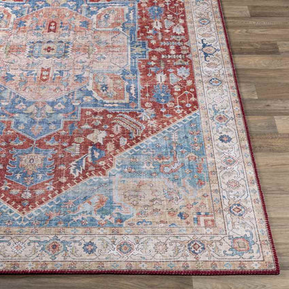 Maasdriel Traditional Burnt Orange Area Rug