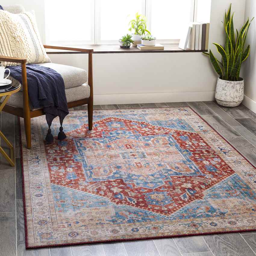 Maasdriel Traditional Burnt Orange Area Rug