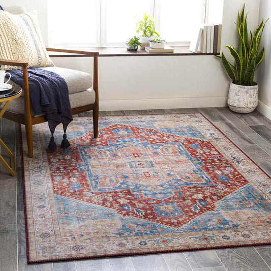 Maasdriel Traditional Burnt Orange Area Rug