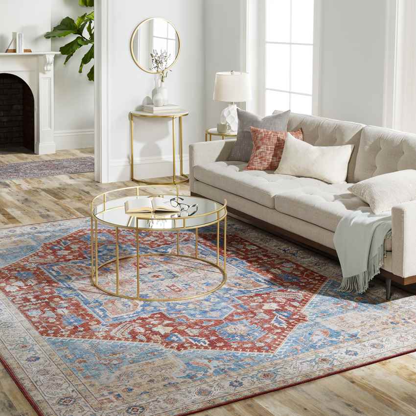 Maasdriel Traditional Burnt Orange Area Rug