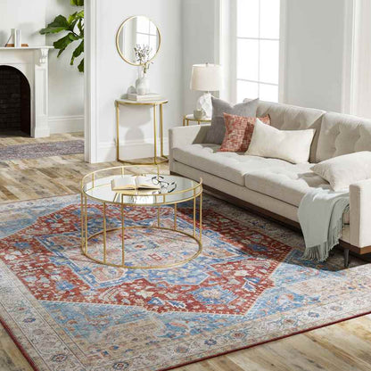Maasdriel Traditional Burnt Orange Area Rug