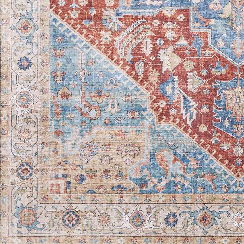 Maasdriel Traditional Burnt Orange Area Rug