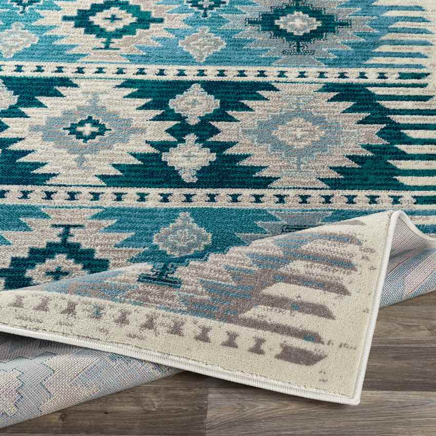 Arizona Rustic Aqua Area Rug