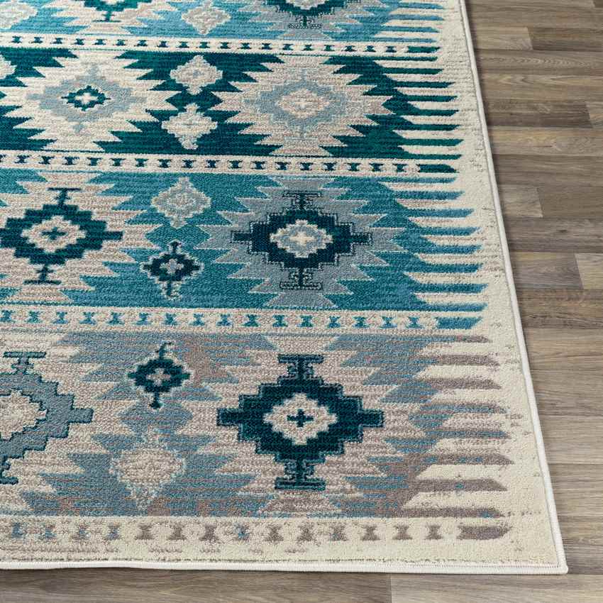 Arizona Rustic Aqua Area Rug
