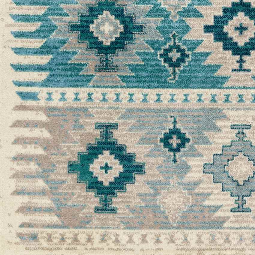 Arizona Rustic Aqua Area Rug