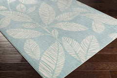 Bargebek Coastal Aqua Area Rug