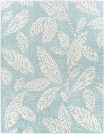 Bargebek Coastal Aqua Area Rug