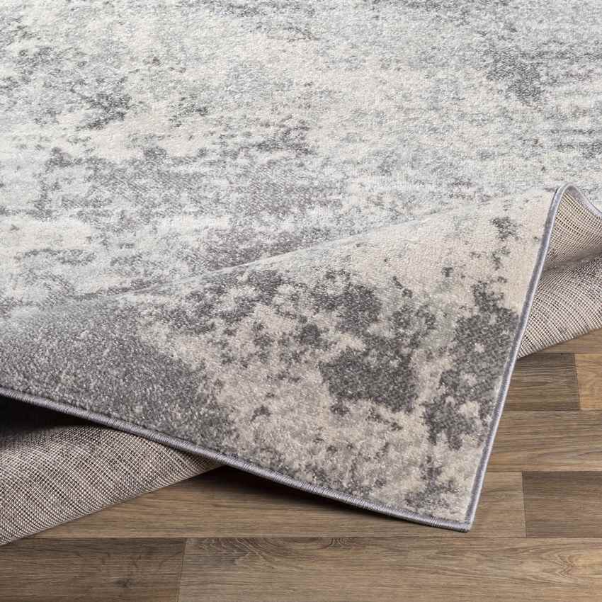Bornwird Modern Medium Gray Area Rug