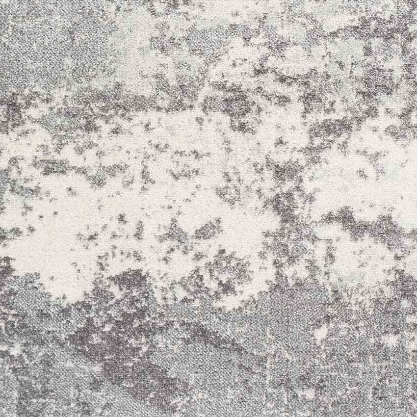 Bornwird Modern Medium Gray Area Rug