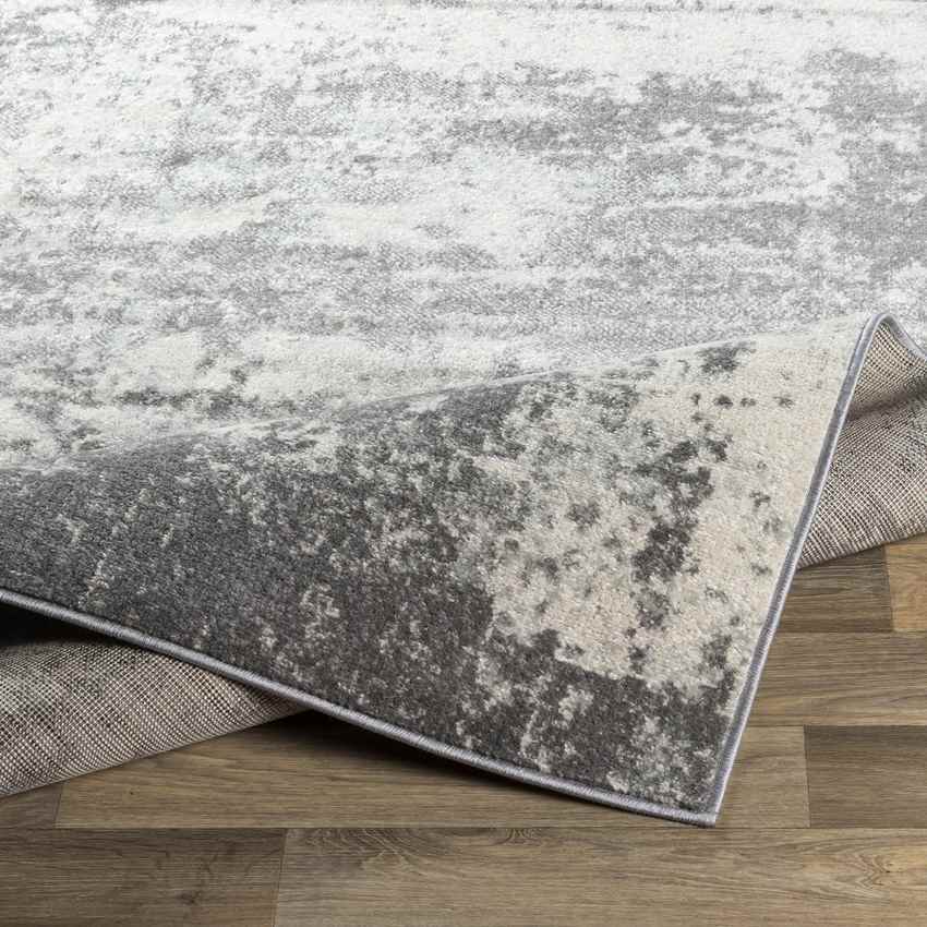Brantgum Modern Medium Gray Area Rug