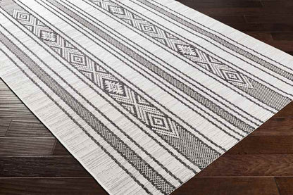 Aerdt Global Medium Gray Area Rug