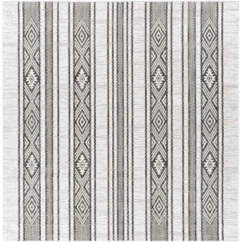 Aerdt Global Medium Gray Area Rug
