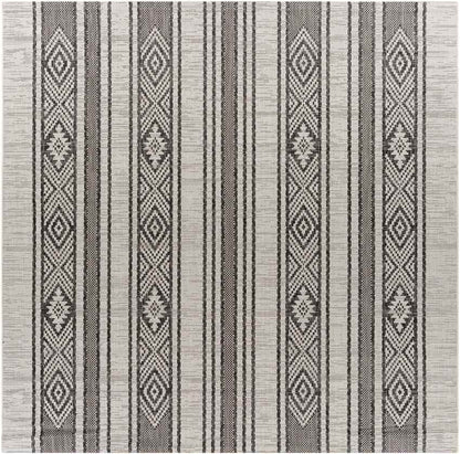 Aerdt Global Medium Gray Area Rug