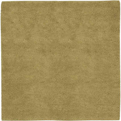 Geron Modern Tan Area Rug