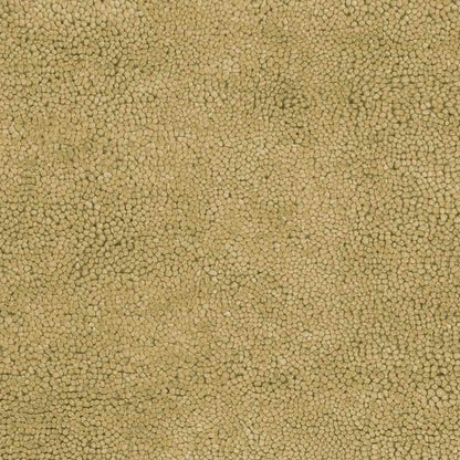 Geron Modern Tan Area Rug