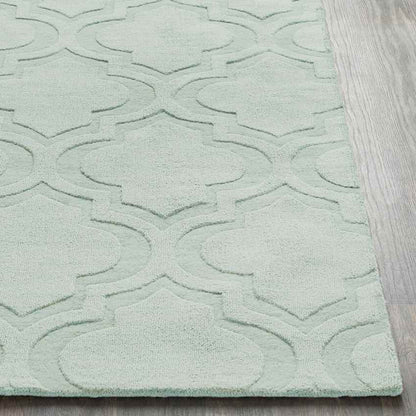 Bergerac Modern Mint Area Rug