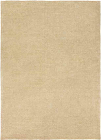 Rennes Modern Beige Area Rug