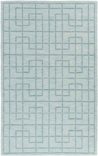 Onstwedde Modern Aqua Area Rug