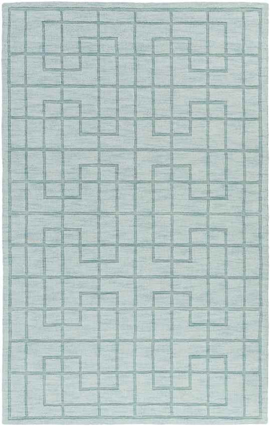 Onstwedde Modern Aqua Area Rug