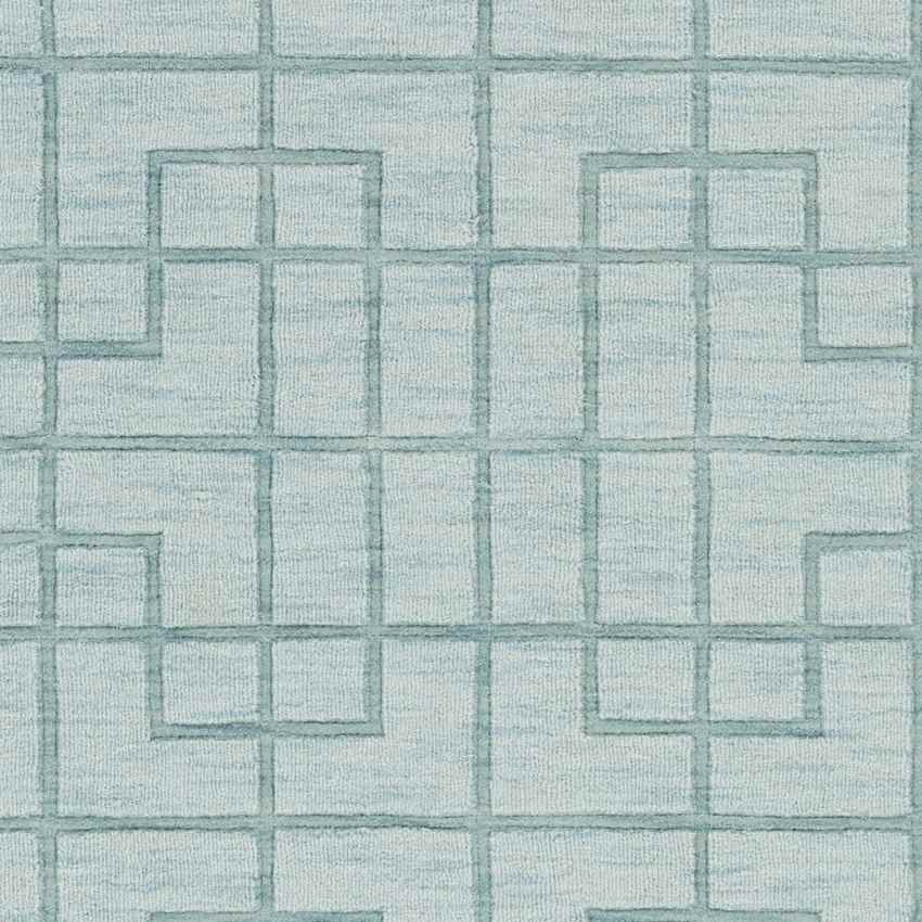 Onstwedde Modern Aqua Area Rug