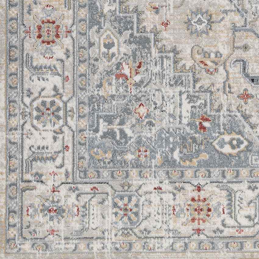 Tricht Traditional Medium Gray Area Rug