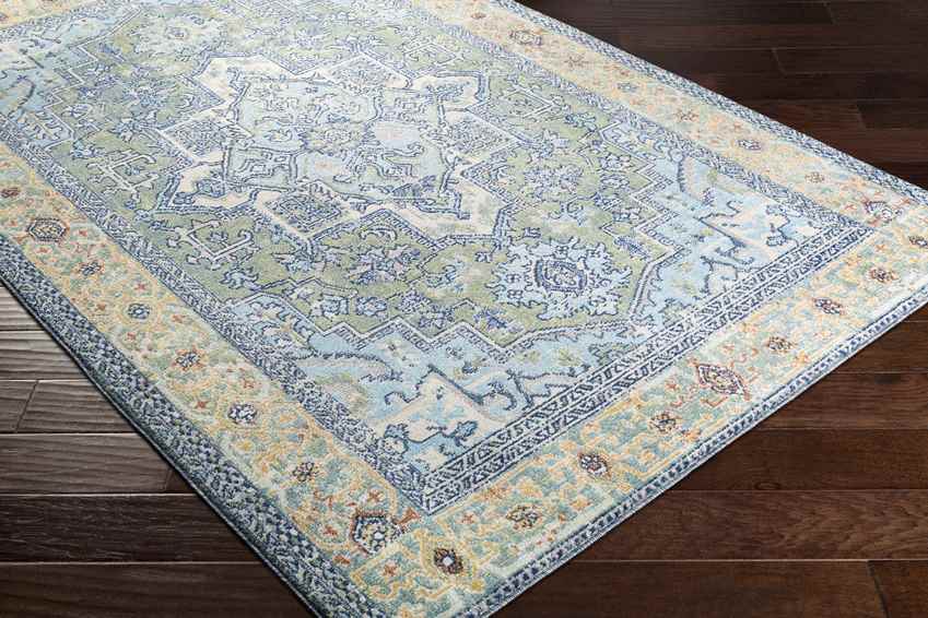 Ballum Traditional Sky Blue Area Rug