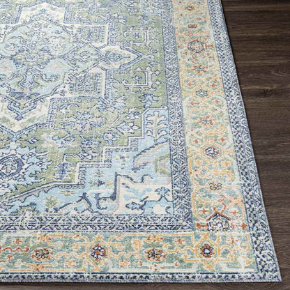 Ballum Traditional Sky Blue Area Rug