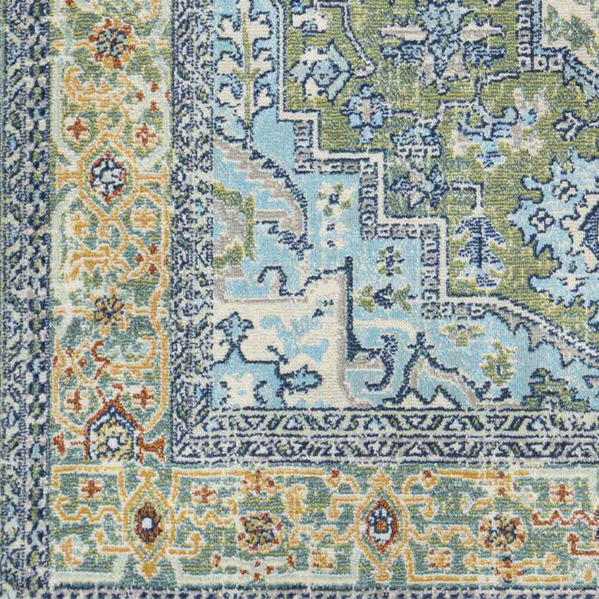 Ballum Traditional Sky Blue Area Rug