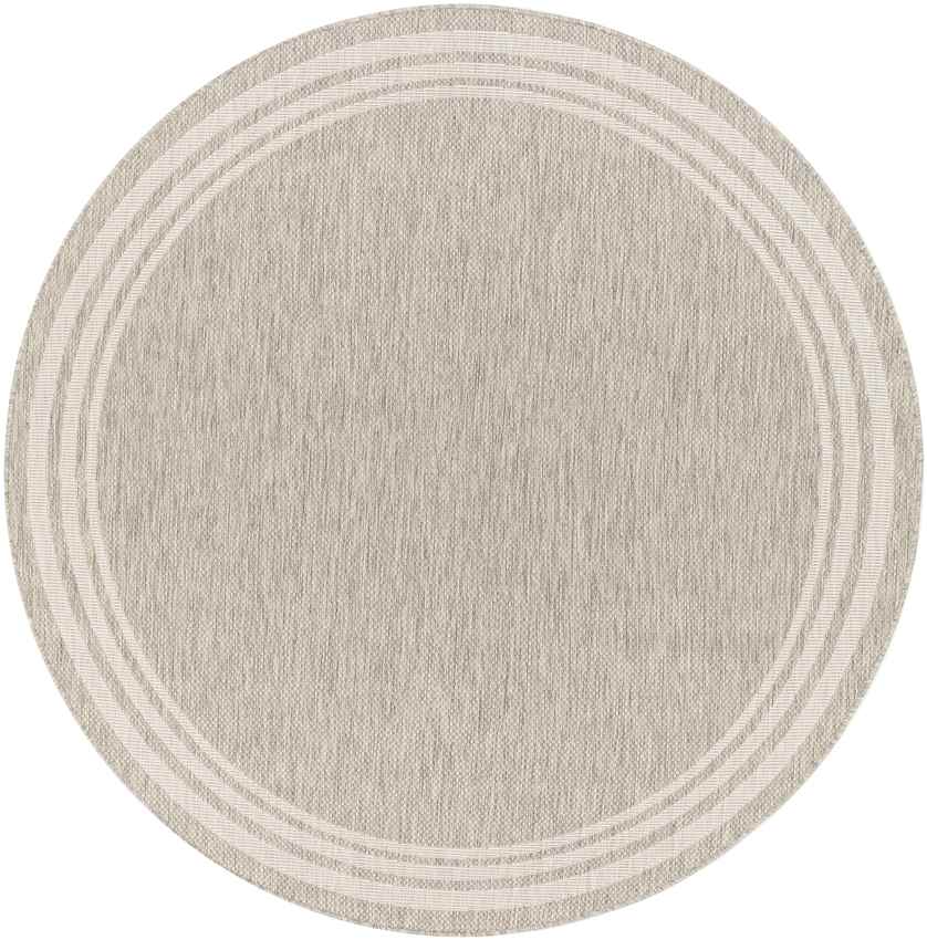Wezep Traditional Light Gray Area Rug