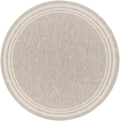 Wezep Traditional Light Gray Area Rug