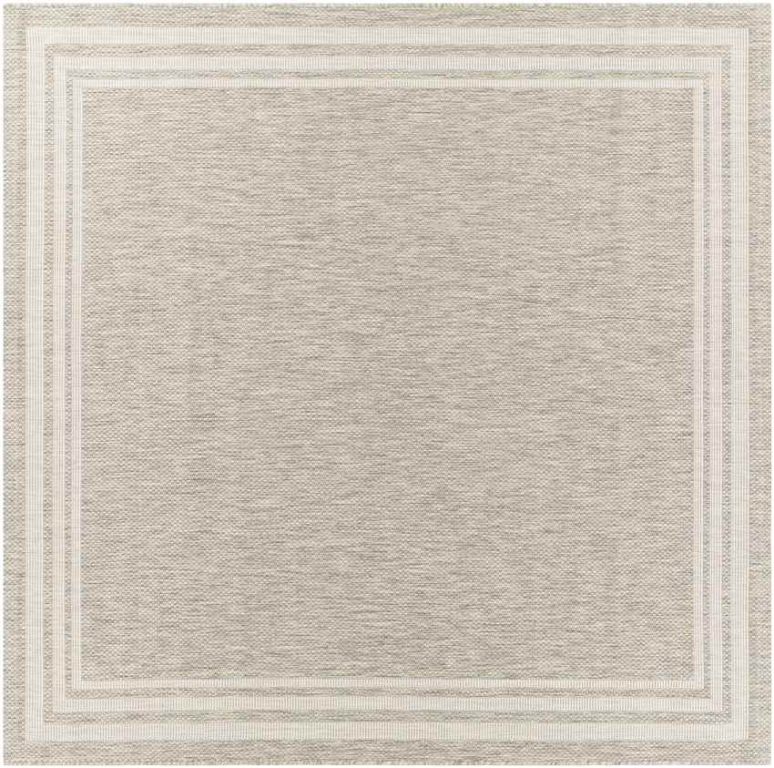Wezep Traditional Light Gray Area Rug