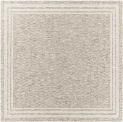 Wezep Traditional Light Gray Area Rug