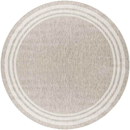 Wezep Traditional Light Gray Area Rug