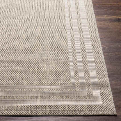 Wezep Traditional Light Gray Area Rug
