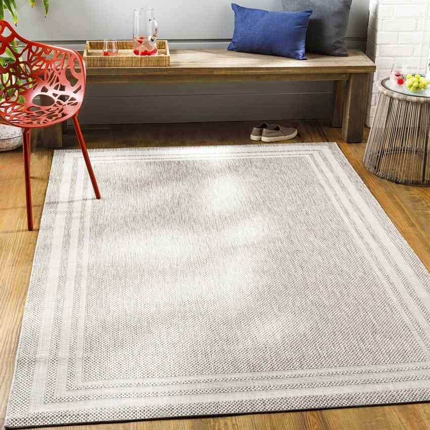 Wezep Traditional Light Gray Area Rug