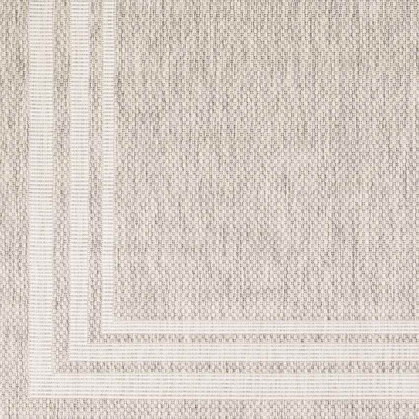 Wezep Traditional Light Gray Area Rug