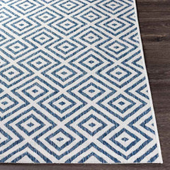 Aekinga Traditional Blue Area Rug