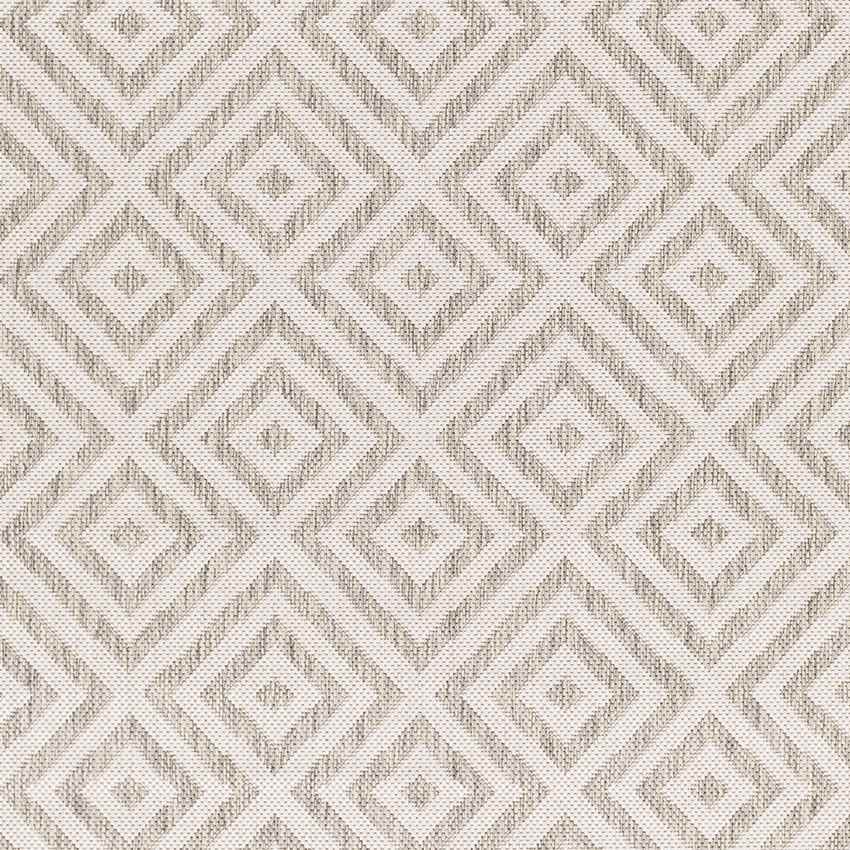 Aekinga Traditional Beige Area Rug