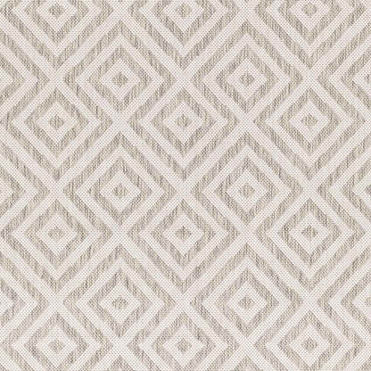 Aekinga Traditional Beige Area Rug