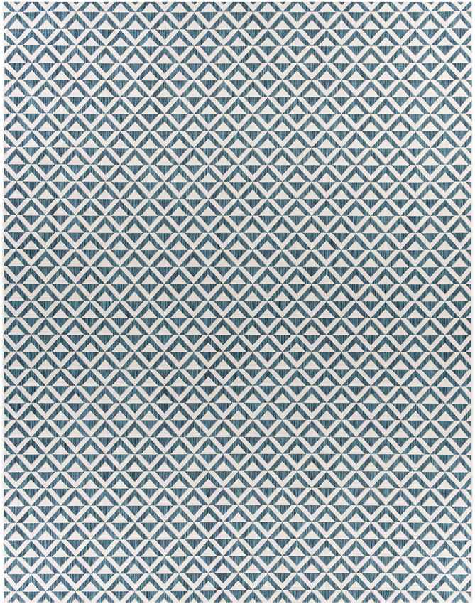 Akkrum Traditional White/Blue Area Rug