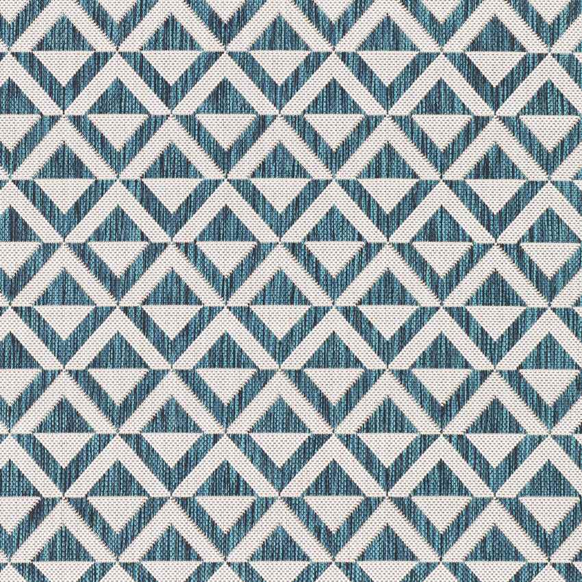 Akkrum Traditional White/Blue Area Rug