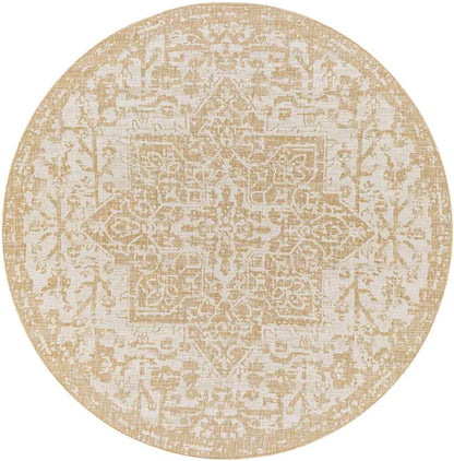 Appelscha Traditional Ivory Area Rug